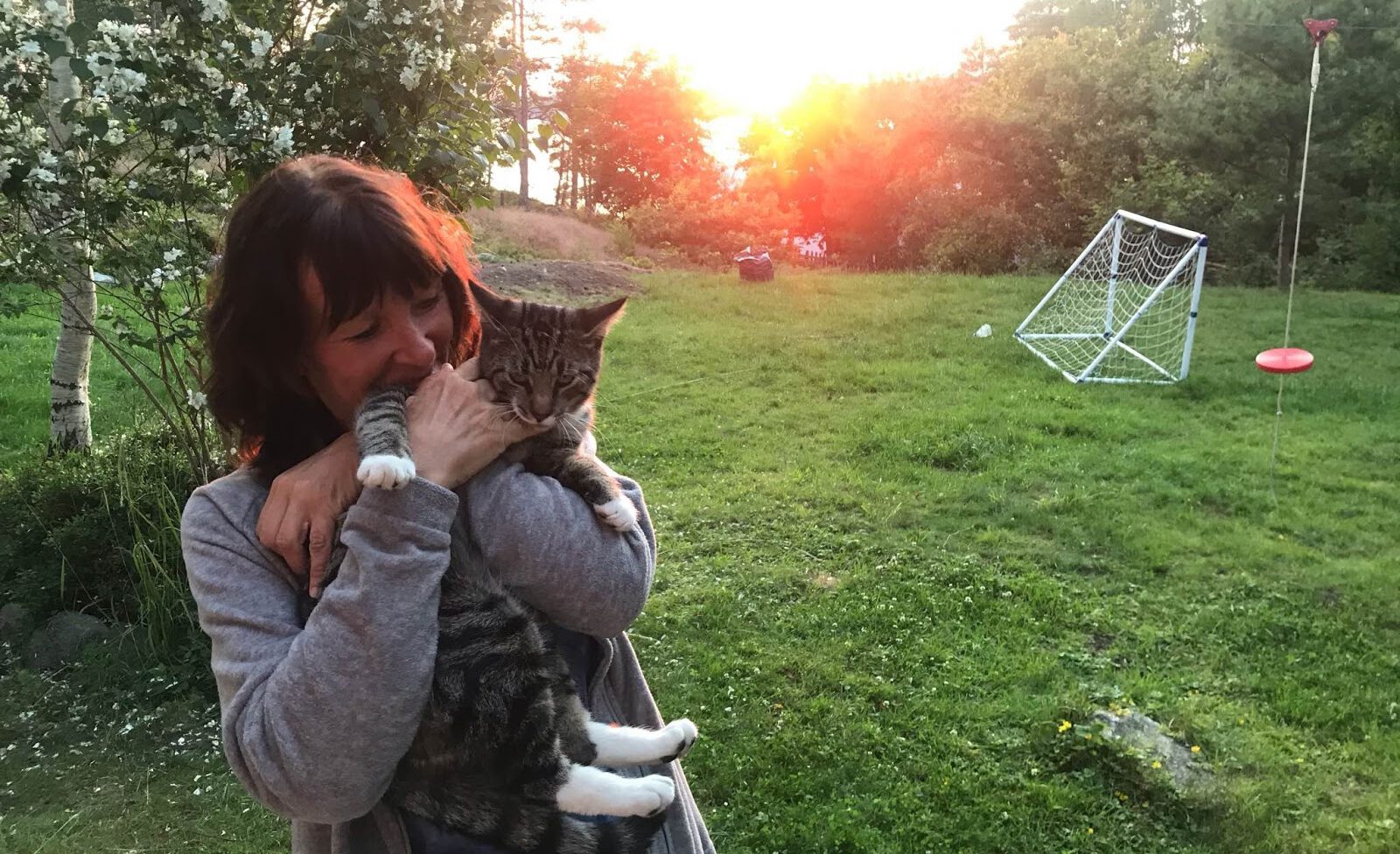 Braunhaarige Frau mit Katze auf dem Arm auf grüner Wiese im Sonnenuntergang